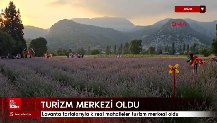 Adana’da lavanta tarlalarıyla kırsal mahalleler turizm merkezi oldu