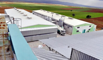 Afyonkarahisar’daki yumurta şirketine FETÖ soruşturması kapsamında kayyum atandı