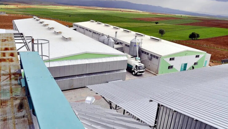 Afyonkarahisar’daki yumurta şirketine FETÖ soruşturması kapsamında kayyum atandı