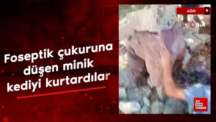 Ağrı’da foseptik çukuruna düşen minik kediyi çocuklar kurtardı