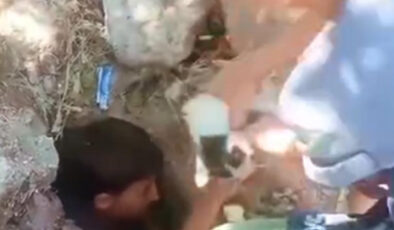 Ağrı’da mahsur kalan kedinin imdadına çocuklar yetişti