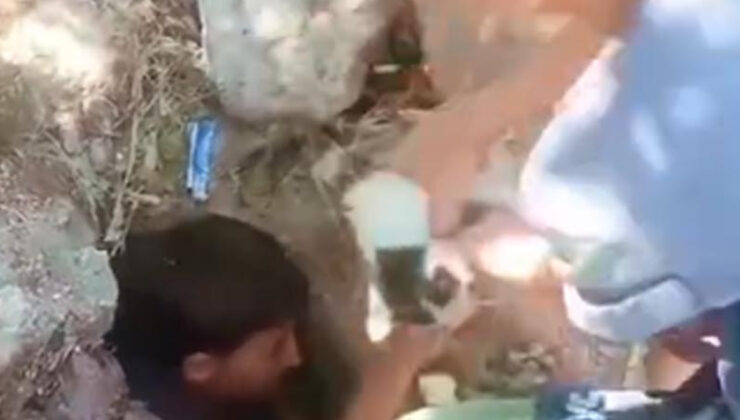 Ağrı’da mahsur kalan kedinin imdadına çocuklar yetişti