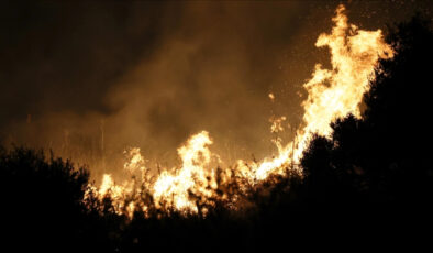 Akdeniz ülkelerinde çok sıcaklar orman yangını riskini tepeye taşıdı