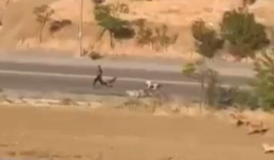 Ankara’da bir genç, başıboş köpeklerin saldırısından son anda kurtuldu