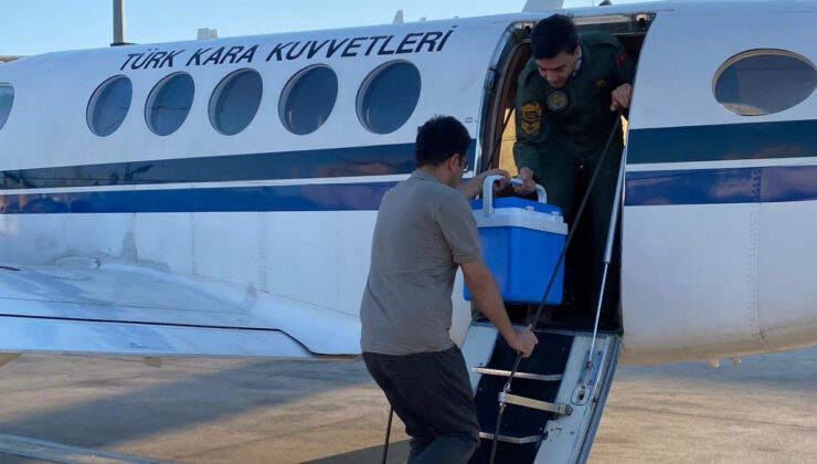 Ankara’da kalp grefti, Kara Kuvvetleri’ne ilişkin uçakla İstanbul’a getirildi