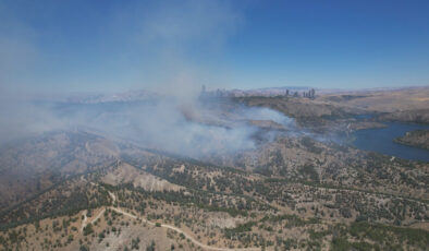 Ankara’da orman yangını paniği