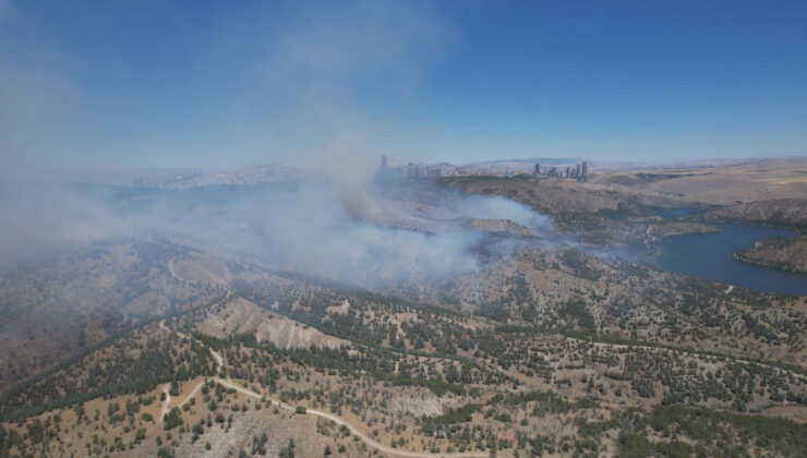 Ankara’da orman yangını paniği