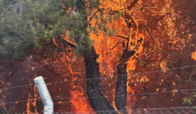 Antalya’da 4 orman yangını denetim altında, 2’sine müdahale sürüyor