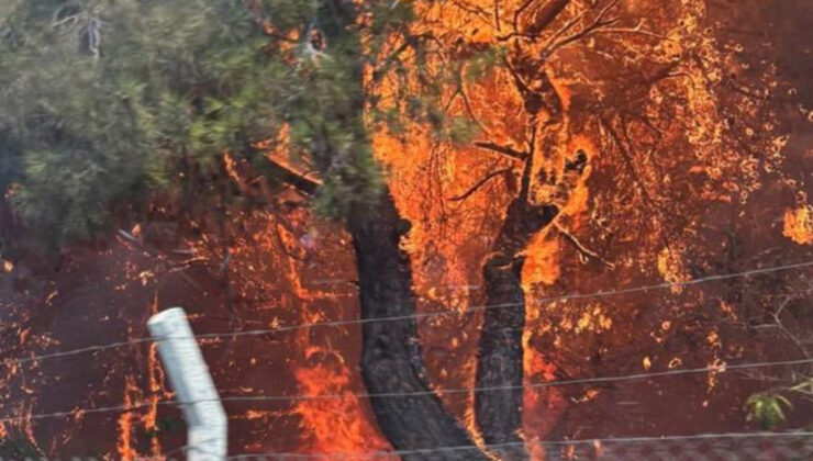 Antalya’da 4 orman yangını denetim altında, 2’sine müdahale sürüyor