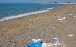 Antalya’da carettaların hayat alanı çöplüğe döndü