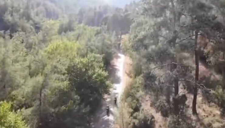 Aydın’da orman yangınlarına ait ihtar yapıldı