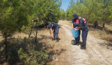 Aydın’da ormanlık alanlarda kontroller artırıldı