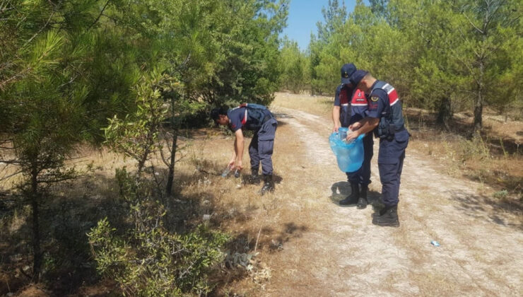 Aydın’da ormanlık alanlarda kontroller artırıldı