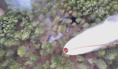 Balıkesir’de düşen yıldırım, orman yangını çıkardı