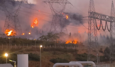 Bandırma’da zeytinliklere sıçrayan yangın denetim altında