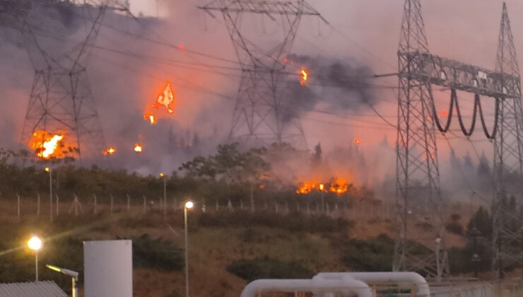 Bandırma’da zeytinliklere sıçrayan yangın denetim altında