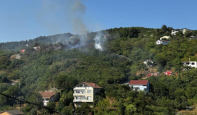 Beykoz’da ormanlık alanda yangın