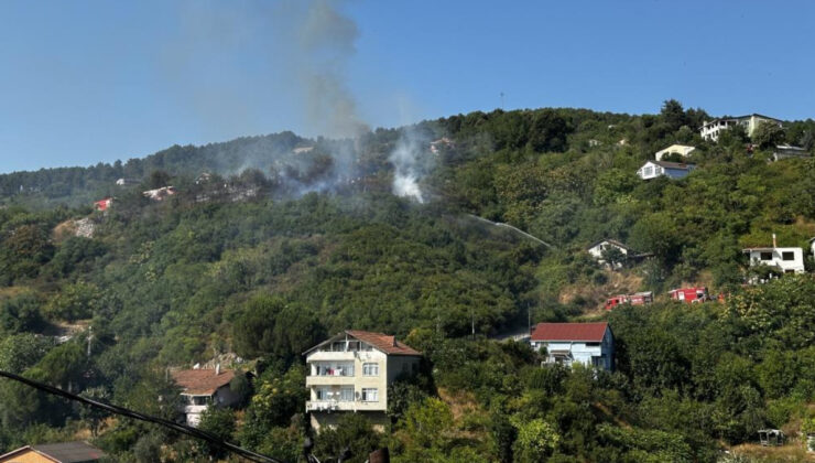 Beykoz’da ormanlık alanda yangın