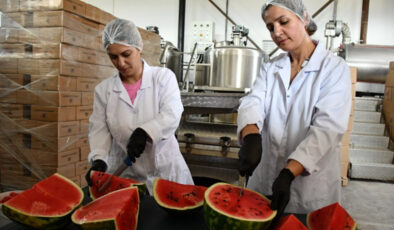 Bilecik’te karpuzdan pekmez yaptılar, kıymeti 25 kat arttı