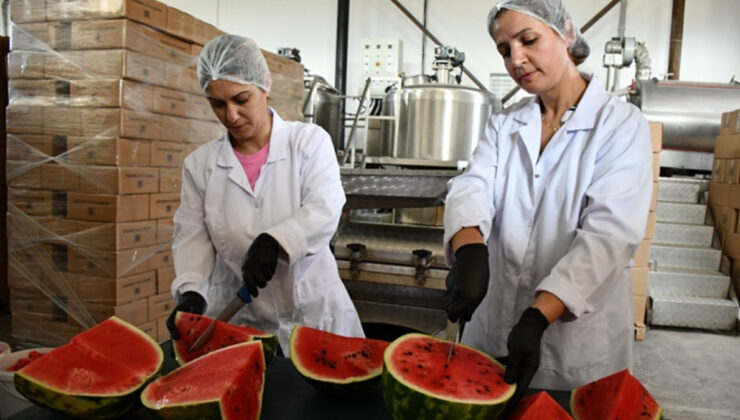 Bilecik’te karpuzdan pekmez yaptılar, kıymeti 25 kat arttı