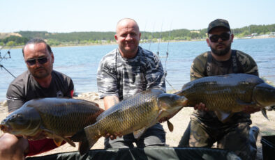 Bilecik’te yakaladıkları dev sazanları yine suya bıraktılar