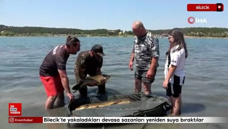 Bilecik’te yakaladıkları devasa sazanları tekrar suya bıraktılar