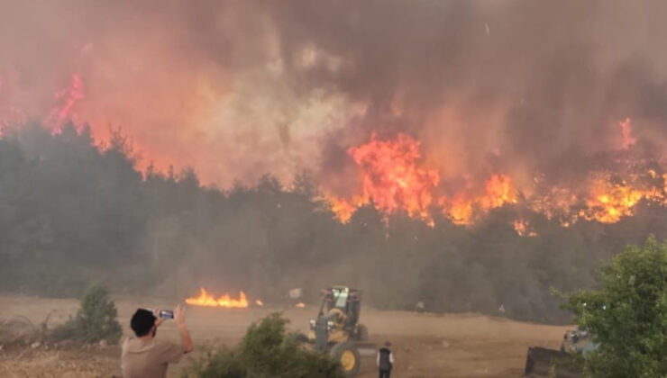Bilecik’teki orman yangınından ürküten imgeler