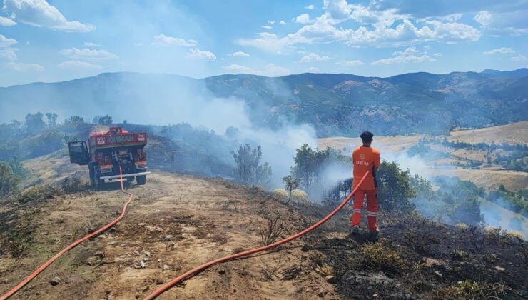 Bingöl Valiliği’nden orman yangınlarına karşı ikaz