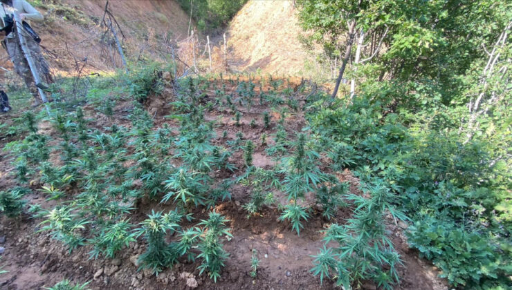 Bingöl’de uyuşturucuyla çaba sürat kesmiyor