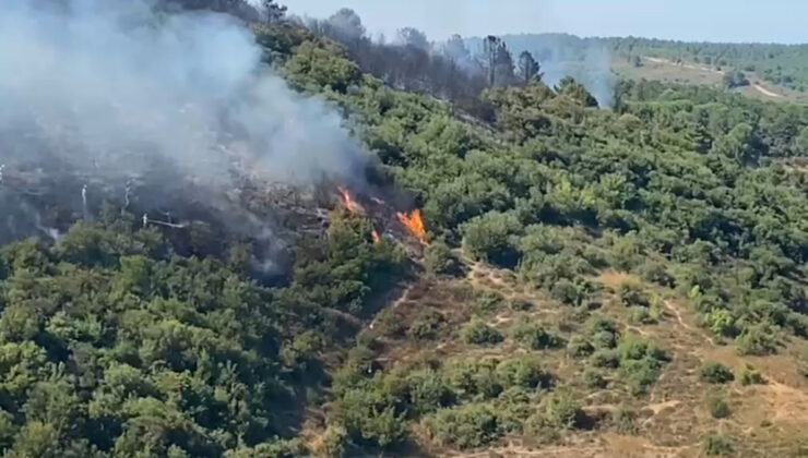 Bolu’da orman yangını çıktı