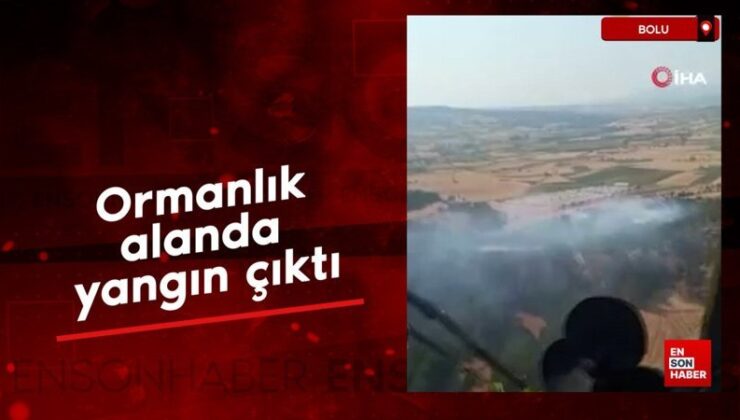 Bolu’da orman yangını
