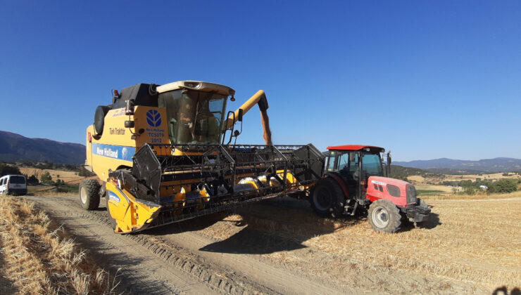 Bolu’da yangına karşı köylüler tarlada yangın tüpleriyle nöbette