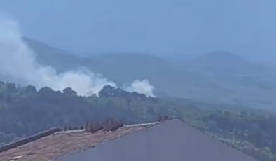 Bursa’da anız yangını ormana sıçradı