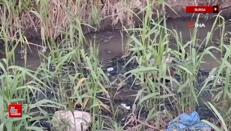 Bursa’da dereye akan lağım suyu mahalleliyi nefes alamaz hale getirdi