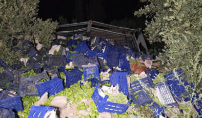 Bursa’da kamyon devrildi: 10 ton biber etrafa dağıldı