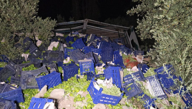Bursa’da kamyon devrildi: 10 ton biber etrafa dağıldı