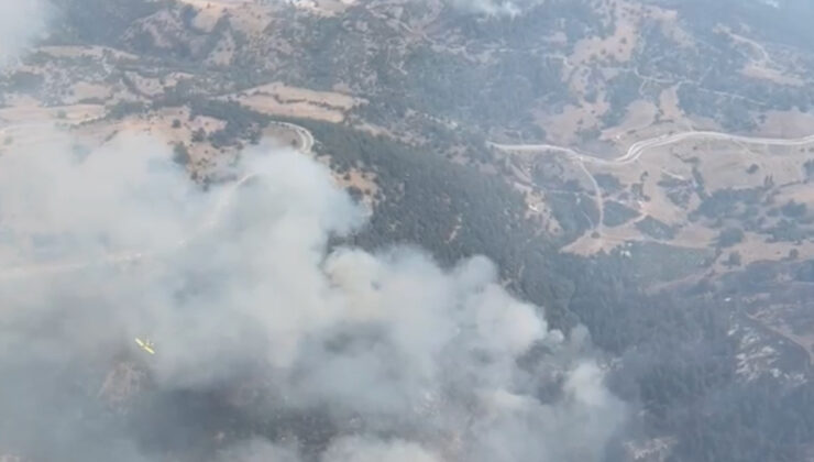 Bursa’da orman yangınına havadan müdahale sürüyor