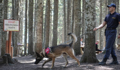 Bursa’da ormanlarda jandarmadan 24 saat motorize devriye