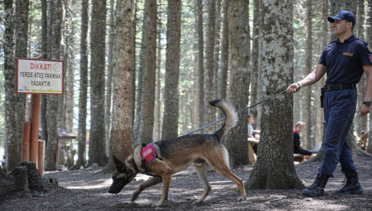 Bursa’da ormanlarda jandarmadan 24 saat motorize devriye