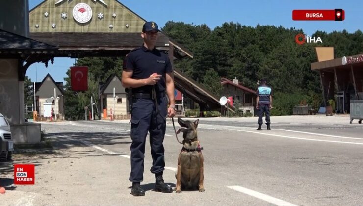 Bursa’da Uludağ’ın ormanlarında jandarmadan 24 saat motorize devriye