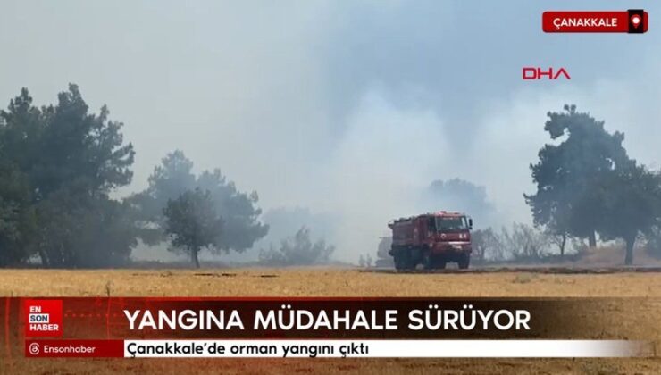 Çanakkale’de orman yangını çıktı