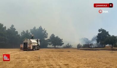 Çanakkale’deki orman yangını denetim altına alındı