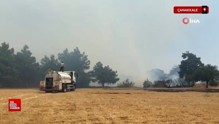 Çanakkale’deki orman yangını denetim altına alındı