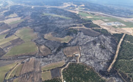 Çanakkale’deki orman yangını denetim altında