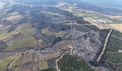Çanakkale’deki orman yangını denetim altında