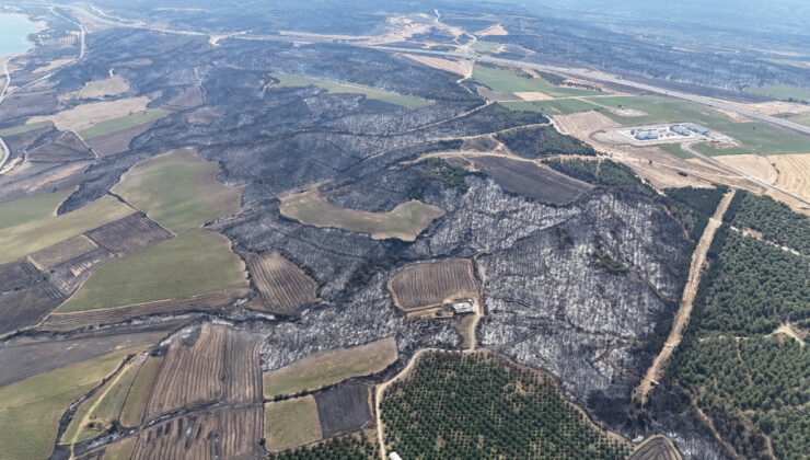 Çanakkale’deki orman yangını denetim altında