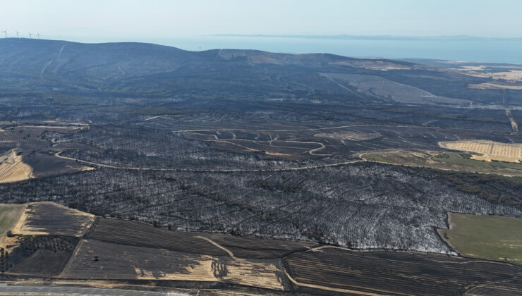 Çanakkale’deki orman yangınında 119 futbol alanı büyüklüğünde alan yandı