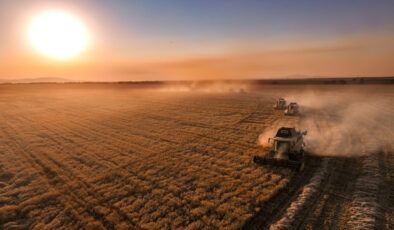 Çiftçilere yaklaşık 827 milyon lira ziraî destekleme ödemesi yapılacak