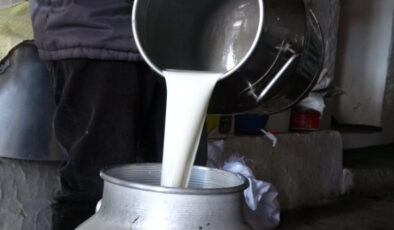 Çiğ süt fiyatı 2025: 1 litre çiğ süt ne kadar, kaç TL?