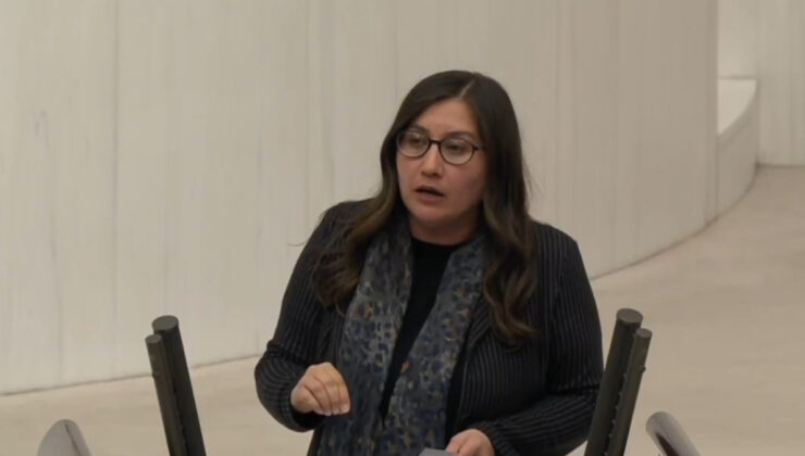 DEM Partili vekilden ‘S tipi hapishaneler kapatılsın’ çıkışı